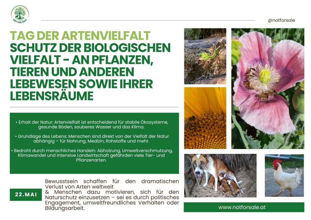 Day of Biodiversity – Making a Statement